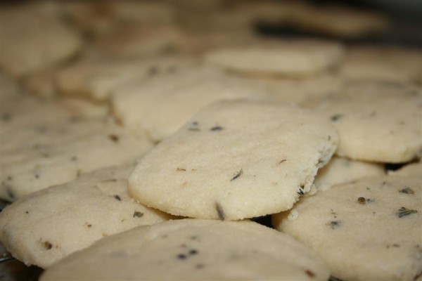 IMG_6600 (Large) lavender shortbread cookies 3