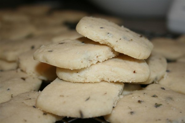 IMG_6602 (Large) stack of lavender shortbread cookies