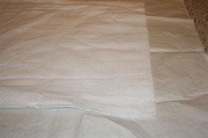 IMG_8889 (Large)