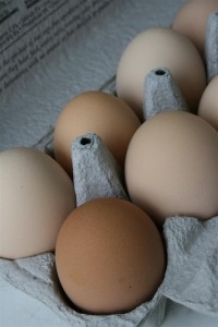brown eggs 3