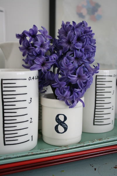 hyacinth1