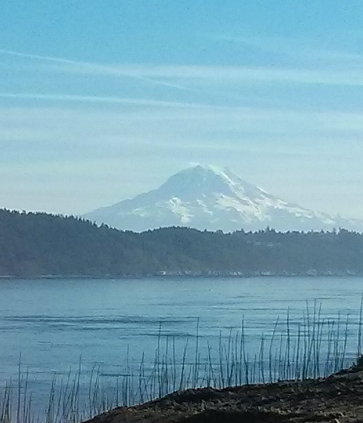 mtrainier