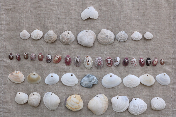 Seashells with Holes.