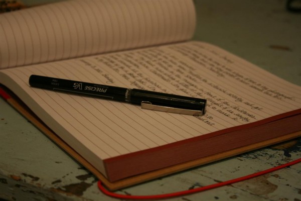 picture of open journal with pen and writing