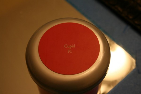 paint color: cupid