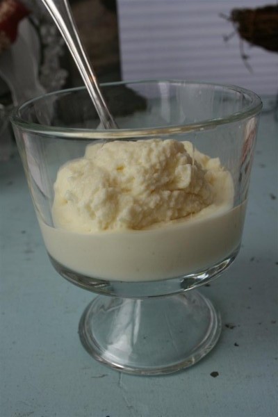 homemade lemon frozen yogurt